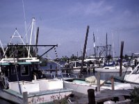 Florida - New Port Richey - Original Marina 2